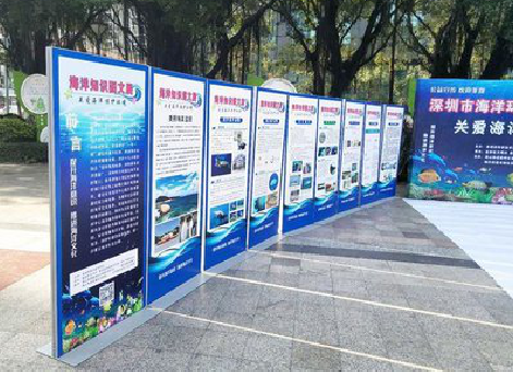 双江KT板的种类和知识。